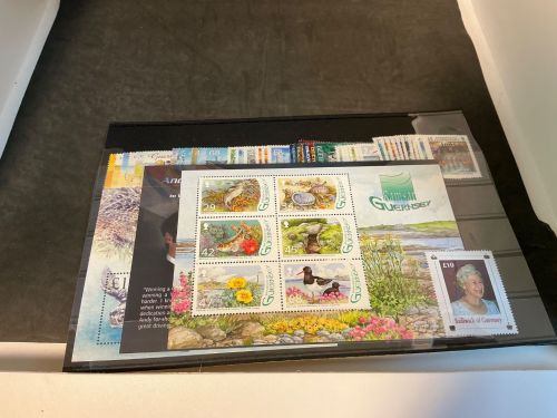 Guernsey Jahrgang 2006 postfrisch komplett