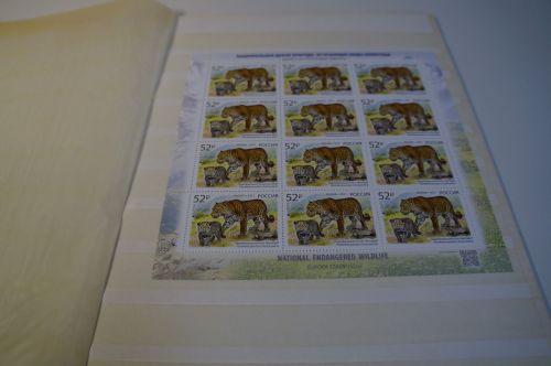 Russland Cept 2021 Wildtiere Michel 2944 KB postfrisch