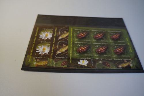 Rumänien Michel 6334/36 Naturschutz KB postfrisch