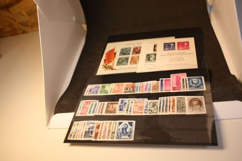 DDR Jahrgang 1955 postfrisch komplett
