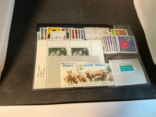 Polen Jahrgang 1981 postfrisch komplett