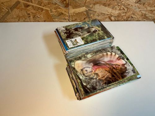WWF 95 Kapitel Maximumkarten (=380 Karten)