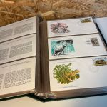 WWF Offizielle Sammlung FDC in Album