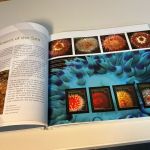 Färöer Jahrbuch 2012 postfrisch komplett