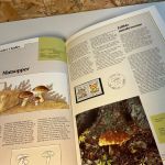 Norwegen Jahrbuch 1988 postfrisch