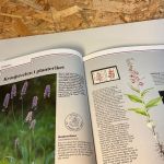 Norwegen Jahrbuch 1990 postfrisch