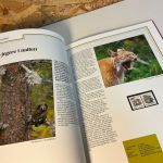 Norwegen Jahrbuch 1991 postfrisch