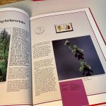 Norwegen Jahrbuch 1992 postfrisch
