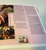 UNO Folder Gefährdete Arten 1993-2009 komplett