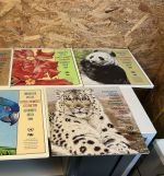 UNO Folder Gefährdete Arten 1993-2009 komplett