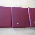 3 Safe Variant Alben rot mit ca. 100 Hüllen 11 Ring