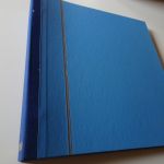 Bund 1991-1995 postfrisch komplett in Schaubek