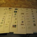Grönland 250 Blankokarten mit FDC / Sonderstempel