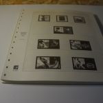 Bund Safe Dual 2005-2008