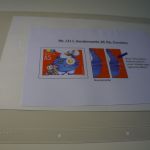 Schweiz Michel 1984 SbK 1211 verschobener Rotdruck