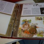 4 Alben Münzbriefe aus Aller Welt