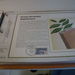 Frankreich Edition CEF 2 Alben 1979-1982