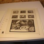 Jersey Safe Dual 2006