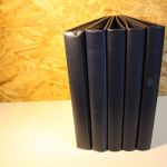 5 Safe Ringbinder blau 14 Ring