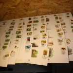 WWF 140 Kapitel FDC (=560 FDC)