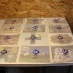 Liechtenstein Maximumkarten Jahrgang 2001 komplett