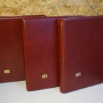 Safe 3 Variant Alben rot mit 40 2er Hüllen