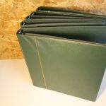 5 Safe Ringbinder grün 14 Ring