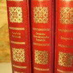3 Borek Ringbinder rot mit Aufdruck