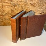 2 Kobra ETB Alben in braun mit Hüllen in weiß