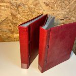 2 Kobra ETB Alben in rot mit Hüllen in weiß