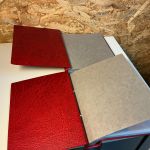 2 Kobra ETB Alben in rot mit Hüllen in weiß