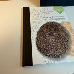 Norwegen Jahrbuch 2007 postfrisch