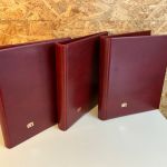 3 Safe Variant Binder leer