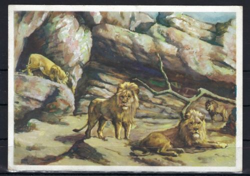 AK Carl Hagenbecks Tierpark Stellingen 1931