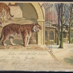 AK Zoologischer Garten Berlin, befördert n. Berlin 1900
