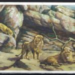 AK Carl Hagenbecks Tierpark Stellingen 1931