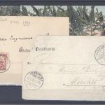 Dt. Kolonien, umfangreicher */gestempelter Posten auf 3 Steckkarten