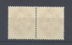 Dt. Reich Michel Nummer 401y, 50 Pfg. Nothilfe 1926 im ** Paar