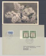 Bund, 2 Briefe mit Michel Nummer 171, 10 Pfg. Ifraba 1953, EF + MeF
