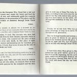 GB, Original Abzeichen 2. Armee Thanksgiving und Serviceheft (42