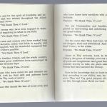 GB, Original Abzeichen 2. Armee Thanksgiving und Serviceheft (42