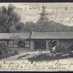 DAP China 1904, AK Tientsin nach Neustadt (Böhmen), Ostas. Pferde-Depot