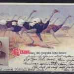 AK zoologischen Garten Hannover, befördert 1900 n. Schleiz, Gruss aus