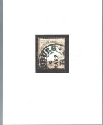 DR Brustschilde, Mi 21 b° einwandfrei, mit FFA Jäschke-L. BPP, ME 600€