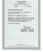 Liechtenstein Block 1 * mit Falzspuren, Blockmarke einwandfrei