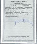 P) Hannover Privatdruck Lechte 40 b 5er-Str. (*), Druck. Culemann, BPP