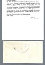 DAP Türkei MiF Constatinopel - USA V18, V20 (2), SELTEN, Krug BPP