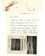 Bund 1954-1955, Lot Belege / Karte