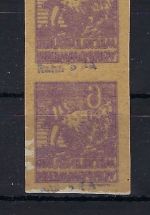 Meckl. Vorpommern Mi 33 yd U senk. Paar **/* + Abklatsch