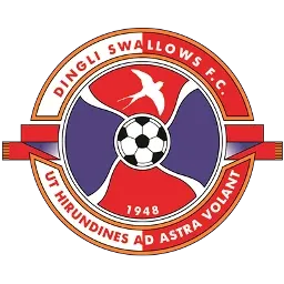Dingli Swallows FC
